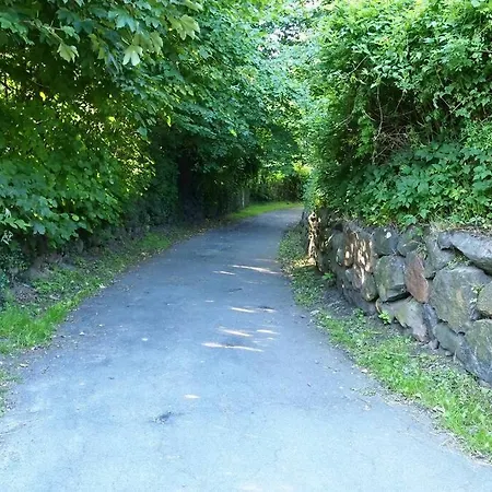 Daire The Nicest House With Internet