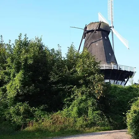 The Nicest House With Internet Daire *