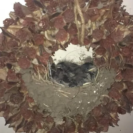 The Nicest House With Internet Rudkøbing