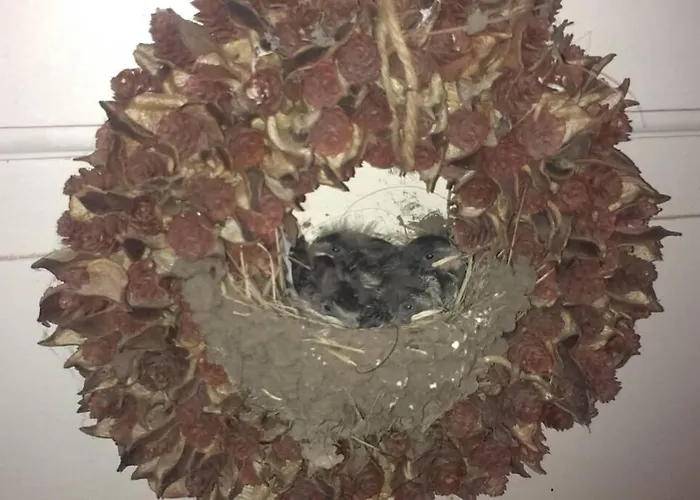 The Nicest House With Internet Rudkøbing